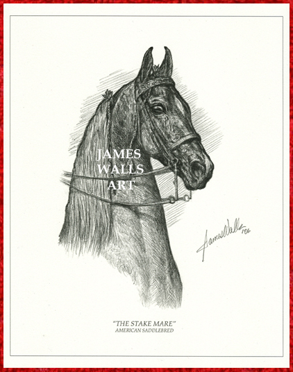 American Saddlebred Five-gaited Mare Print
