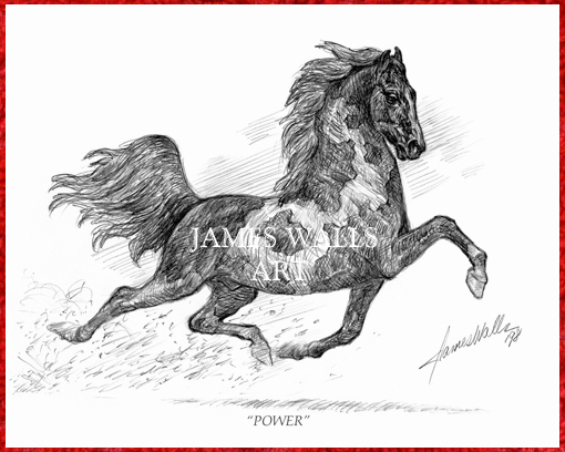fantasy stallion