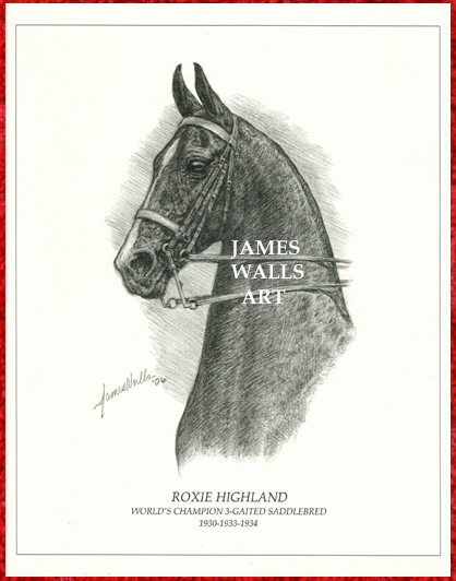 American Saddlebred Roxie Highland Print