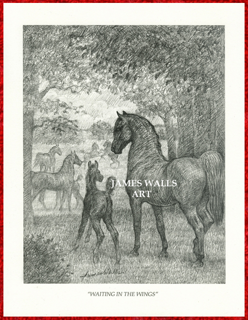 American Saddlebred Horses Print